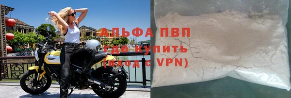 прущие грибы Куйбышев