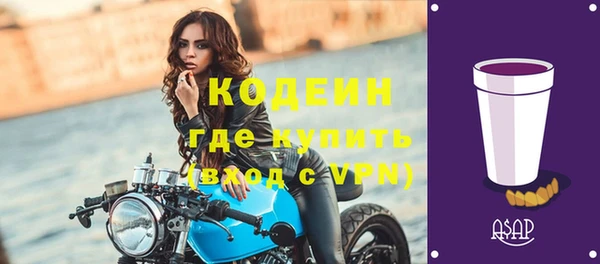 прущие грибы Кулебаки