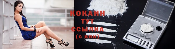 прущие грибы Куйбышев