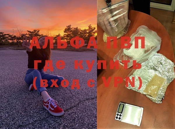 прущие грибы Куйбышев