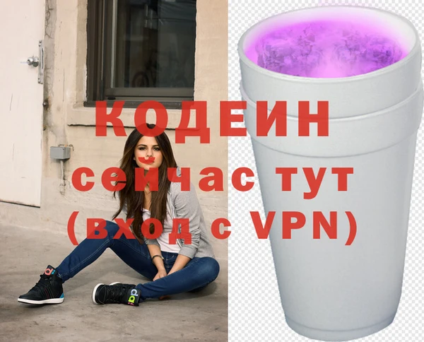 прущие грибы Куйбышев