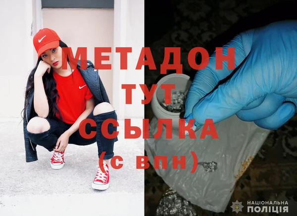 прущие грибы Куйбышев