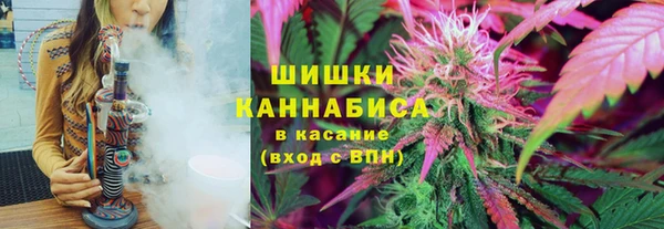 прущие грибы Кулебаки