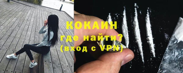прущие грибы Куйбышев