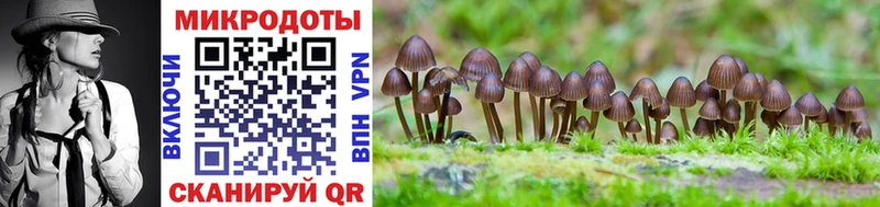 Галлюциногенные грибы ЛСД  Называевск 