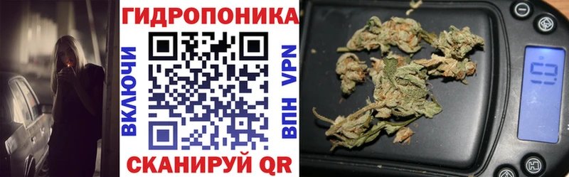 Конопля сатива  KRAKEN зеркало  Называевск 